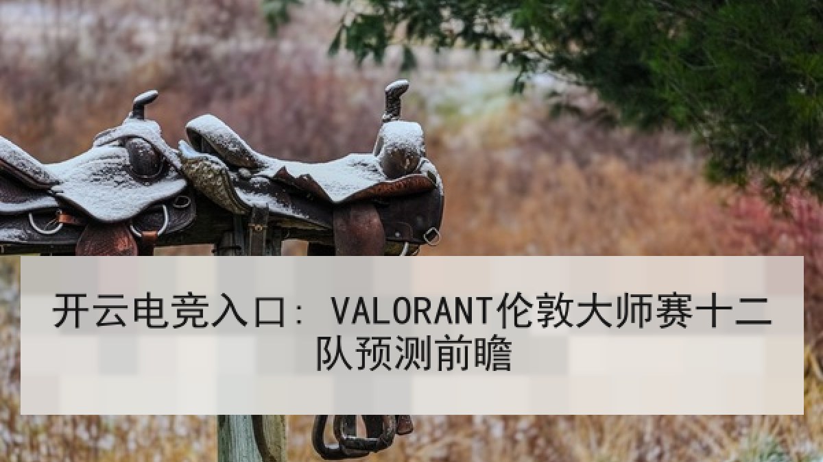 开云电竞入口: VALORANT伦敦大师赛十二队预测前瞻