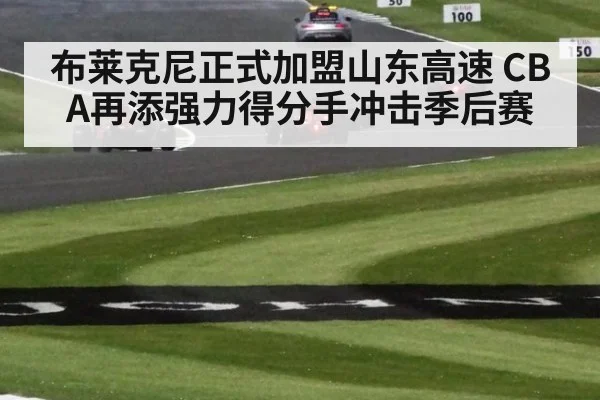 布莱克尼正式加盟山东高速 CBA再添强力得分手冲击季后赛