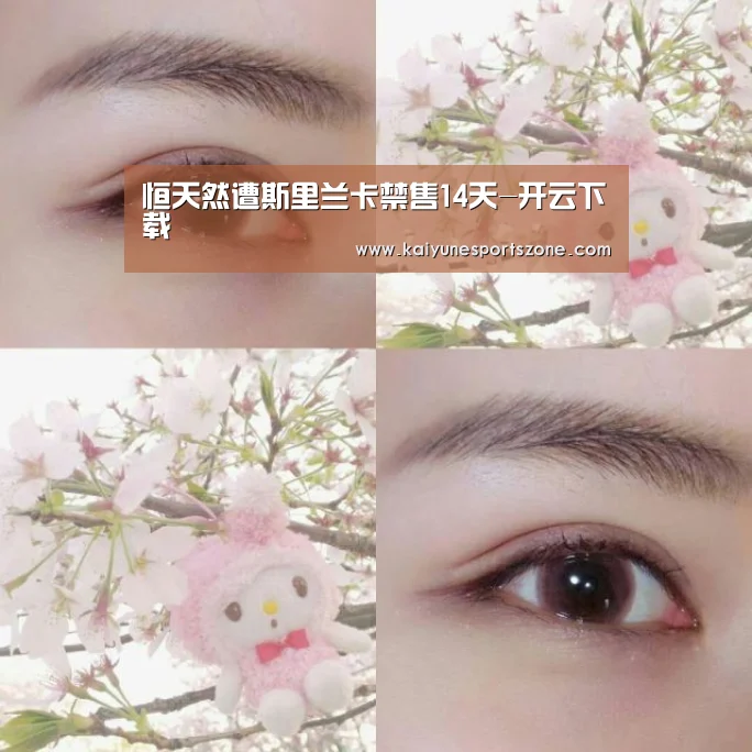 开云下载